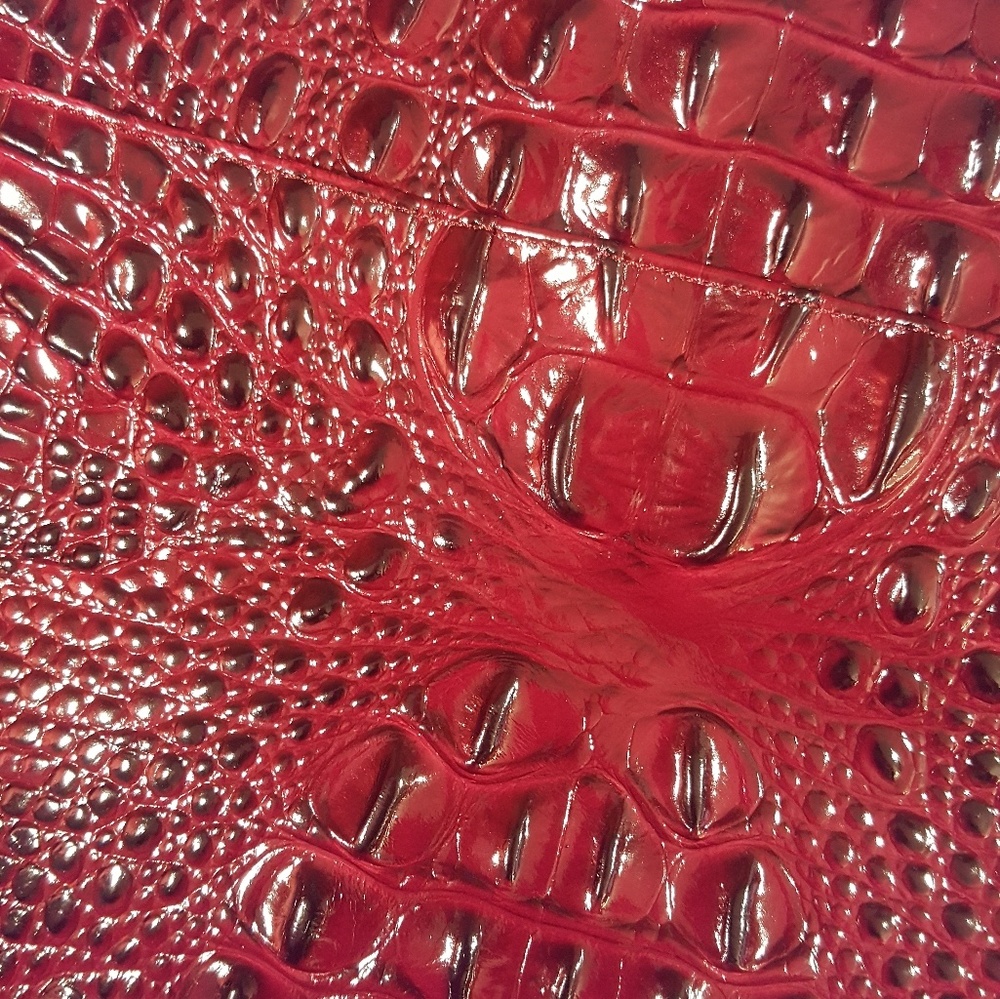 Brahmin Jody - Picture 4 of 8